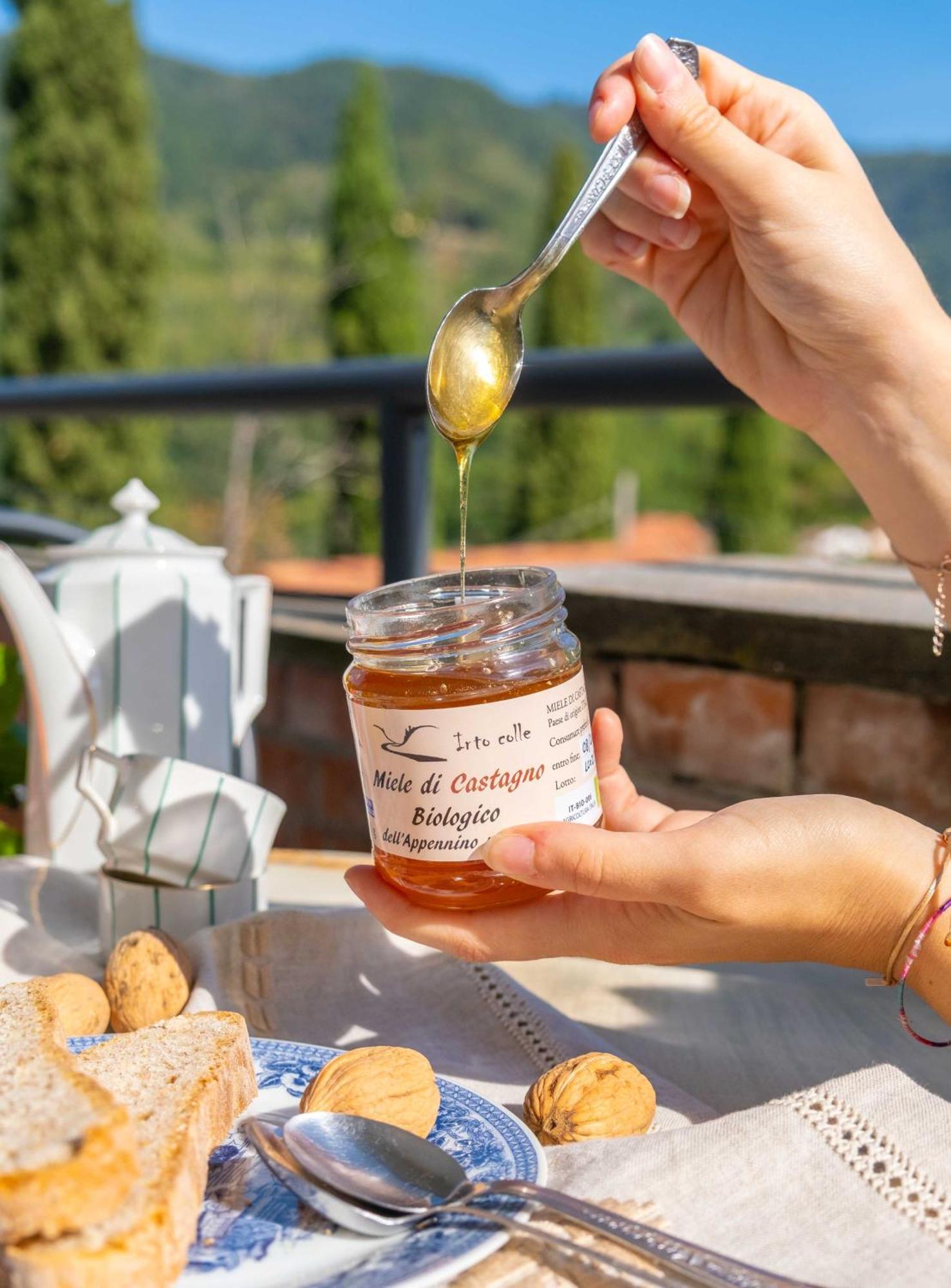 Agriturismo Irto Colle Massa e Cozzile Eksteriør bilde